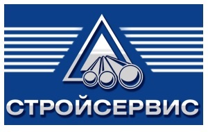 Компания «Стройсервис» создана в 1994 году предпринимателем Дмитрием Николаевым. Один из крупнейших металлотрейдеров Кузбасса. Владеет предприятиями по ремонту грузовой техники и горного оборудования. Основной бизнес «Стройсервиса» — добыча угля. «Стройсервис» — генеральный спонсор Федерации тайского бокса Кузбасса.