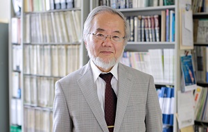Японский учёный-молекулярный биолог. Изучает лизосомальный путь аутофагии. Член EMBO. 3 октября 2016 года получил Нобелевскую премию по медицине и физиологии «за открытие механизмов аутофагии»