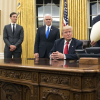 Лица входящие в кабинет в администрации 45-го президента США Дональда Трампа, вступившего в должность 20 января 2017 года